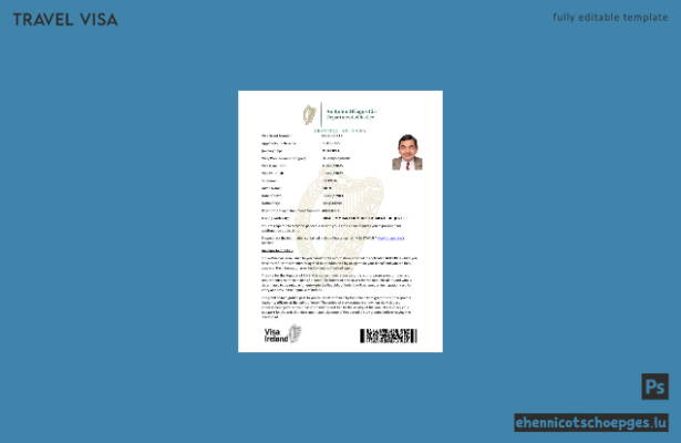 Beispielansicht des irischen E-Visums in Word- und PDF-Formaten